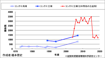 ヨシガモ越冬数
