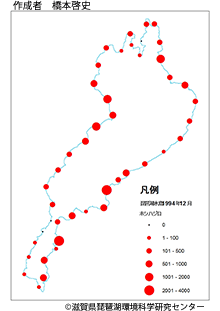 ホシハジロ分布