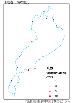 ハマシギ分布