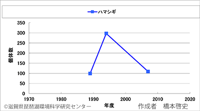 ハマシギ変化