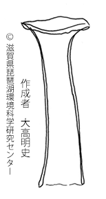 ウィリーユリミミズ