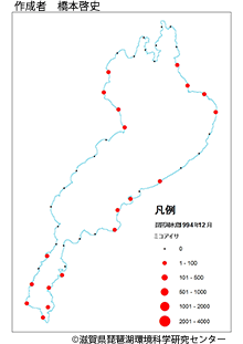 ミコアイサ分布