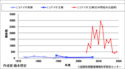 ミコアイサ越冬数
