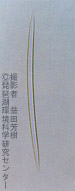 アナンデルカイメン