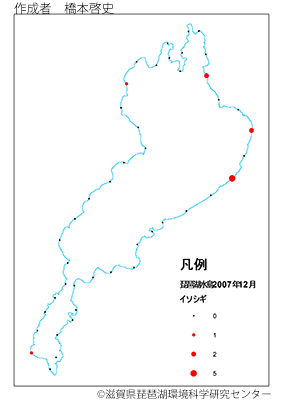 イソシギ分布
