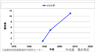 イソシギ変化
