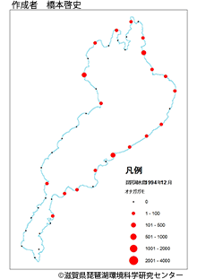 オナガガモ分布