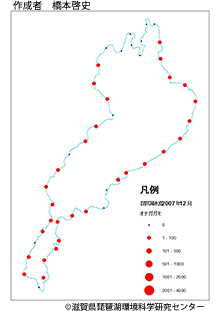 オナガガモ分布