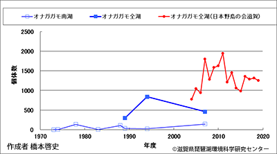 オナガガモ越冬数