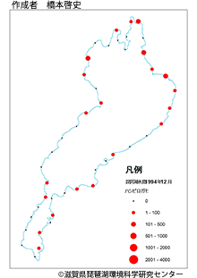 ハシビロガモ分布