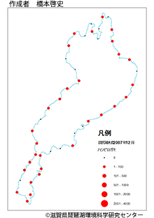 ハシビロガモ分布