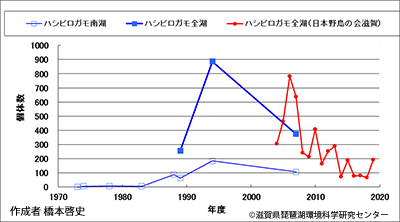 ハシビロガモ越冬数