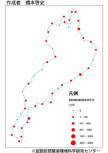 コガモ分布