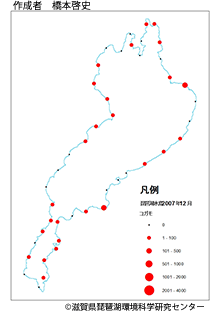 コガモ分布