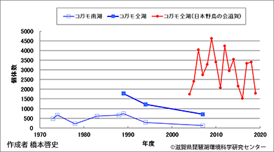 コガモ越冬数