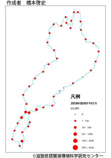 ヨシガモ分布