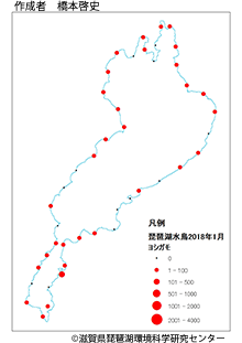 ヨシガモ分布