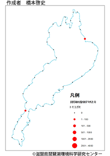 トモエガモ分布