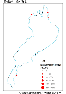 トモエガモ分布