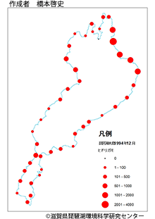 ヒドリガモ分布