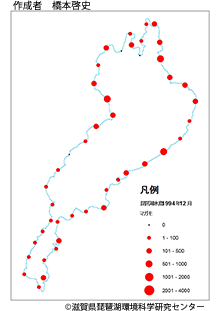 マガモ分布