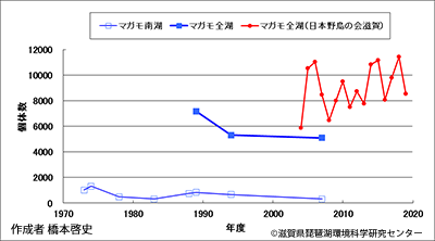 マガモ越冬数