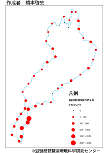 オカヨシガモ分布