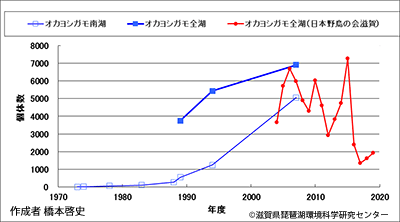 オカヨシガモ越冬数