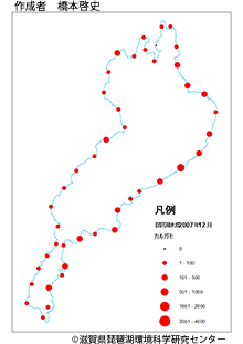 カルガモ分布