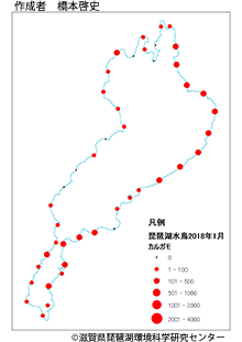 カルガモ分布