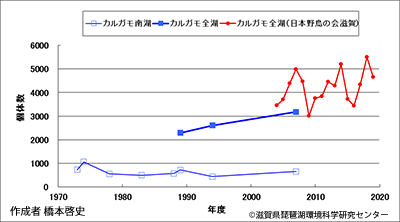 カルガモ越冬数