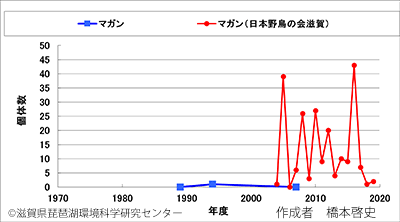 マガン変化
