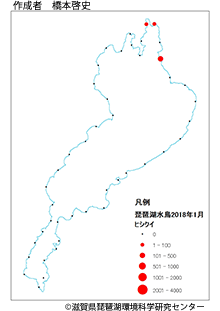 ヒシクイ分布