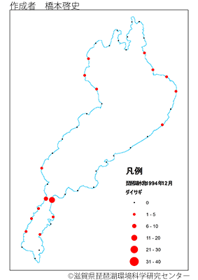 ダイサギ分布