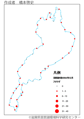 アオサギ分布