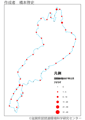 アオサギ分布