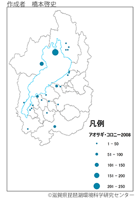 アオサギ分布