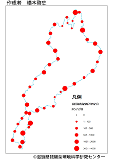 ホシハジロ分布