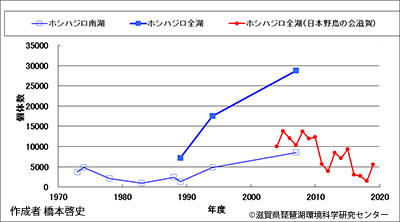 ホシハジロ越冬数