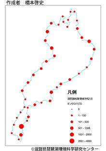 キンクロハジロ分布