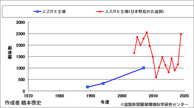 スズガモ越冬数