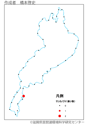 サンカノゴイ分布