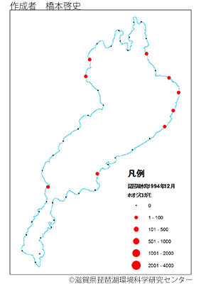 ホオジロガモ分布