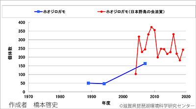 ホオジロガモ越冬数