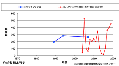 コハクチョウ越冬数