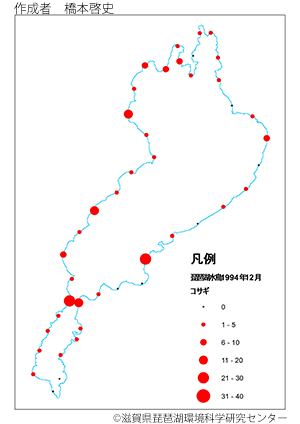 コサギ分布