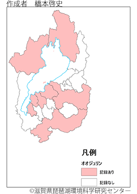 オオジュリン分布