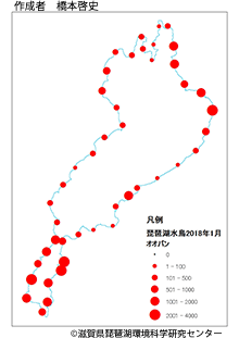 オオバン分布