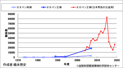 オオバン越冬数