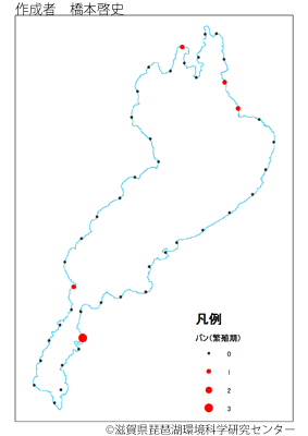 バン繁殖期分布